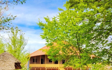 Rasht-Telarkhanehbordbar-16